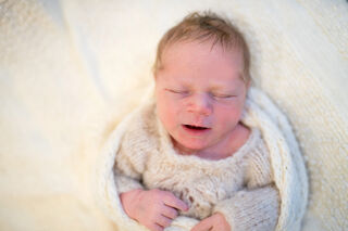 Jonah Mael Windfellner