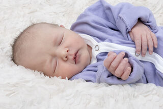 Johanna Krautenbacher