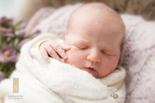 Fiona Franziska Schreyer